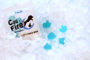 ice-2