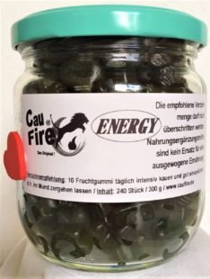 Energy-300